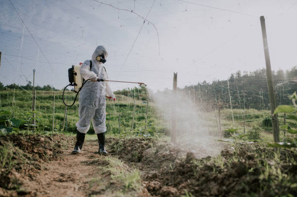 Pest Prevention Services in Ferrum, VA