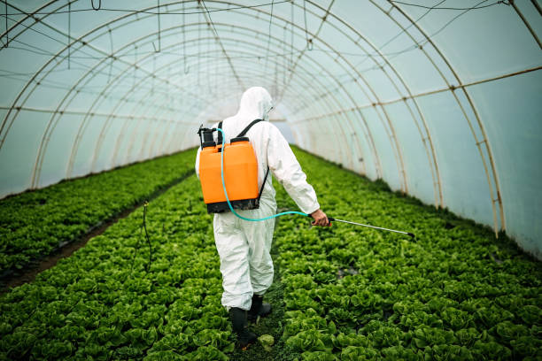 Best Best Pest Control Companies  in Ferrum, VA