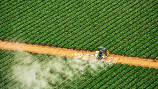 Reliable Ferrum, VA Pest Control Solutions