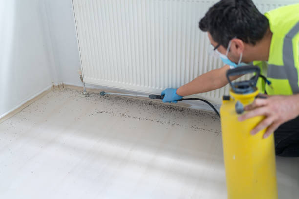 Best Affordable Pest Control Services  in Ferrum, VA