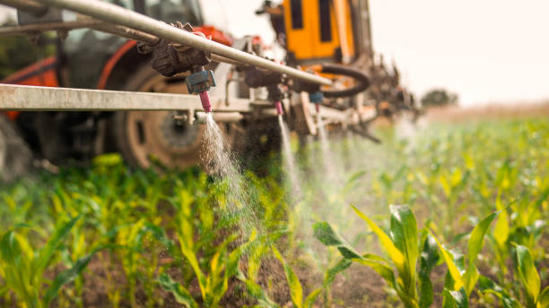 Best Mosquito Control Services  in Ferrum, VA
